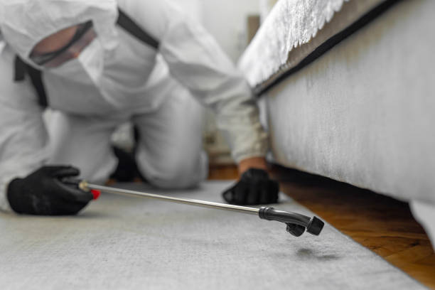 Professional Termite Control technician working in Dupo, IL