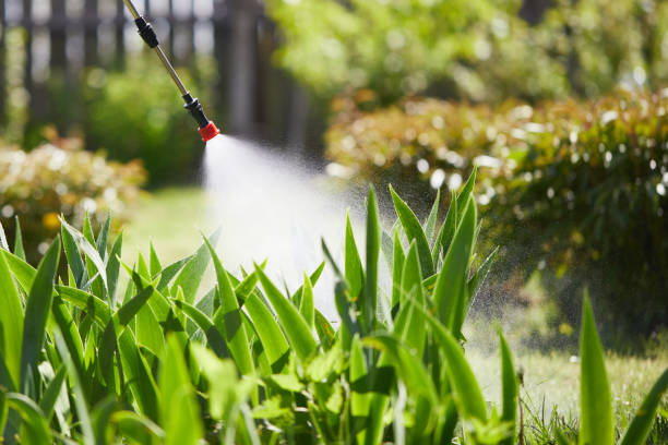 24/7 Emergency Termite Control experts in Dupo, IL